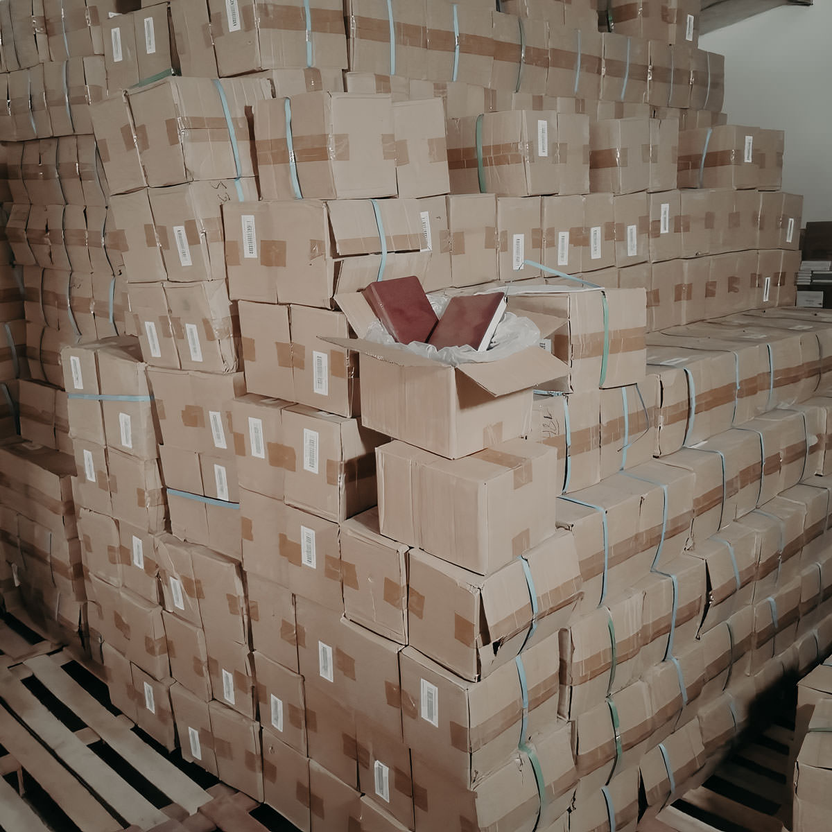 Thousands of Bibles ready to be funded for delivered into the country